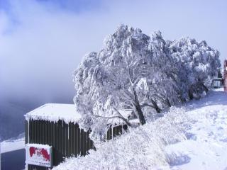 Arlberg Hotham - Mount Hotham - 3