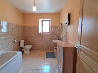 Maison spacieuse et confortable avec terrasse et jardin, idéale pour famille ou entreprise - FR-1-585-29 - - 1