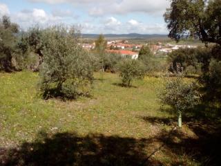 La Nature alojamiento natural - La Codosera - 5