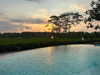 GRIYA KCB VILLA - Ubud - 9