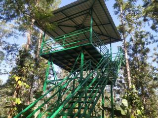 VANIKA PLANTATION - Kikkeri - 4