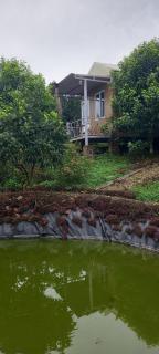 Nông Trại Về Cội - The Original Farm - Buôn Bedeur - 4