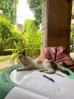 Hotel Tinaya - Dambulla - 8
