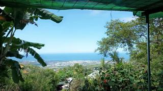 Camping D'Tente Paradise - Saint-Louis - 4