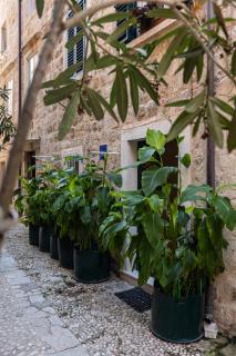 B&B BUZA HOUSE - Dubrovnik - 4