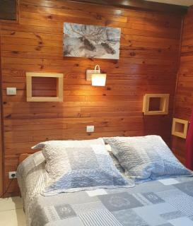 Chalet le Grand Tétras - La Bresse - 1