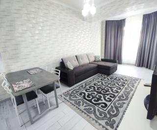 Комфортная двухкомнатная квартира - Bishkek - 0