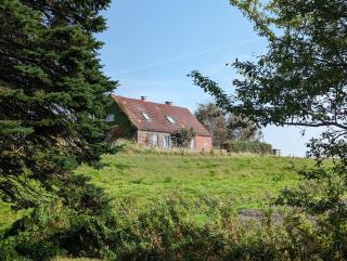 Nordstrand Cottage - Nordstrand - 9