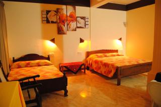 Hotel Apollo - Hikkaduwa - 8