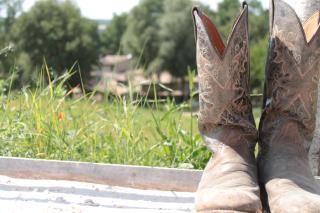 Radius Horse Ranch B&B - 3