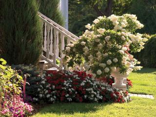 Glen House Resort - Lansdowne - 1