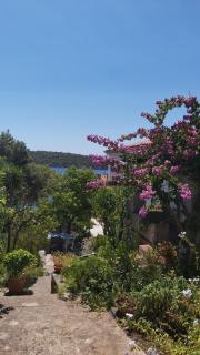 Apartment Maja - Mali Lošinj - 7