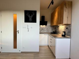 Horský apartmán Kvilda - Kvilda - 4
