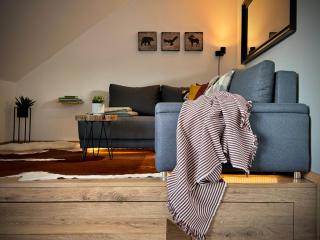 Horský apartmán Kvilda - Kvilda - 6