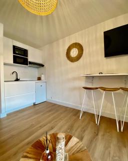 Studio cabine climatisé de 20m2 avec place de parking privée - Sète - 3
