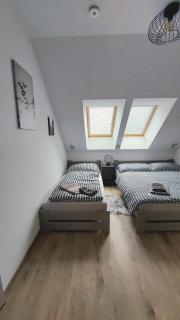 Apartmán Štěpa - Filipovice - 1