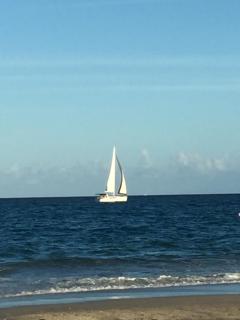 Palm Beach Mermaid - West Palm Beach - 0