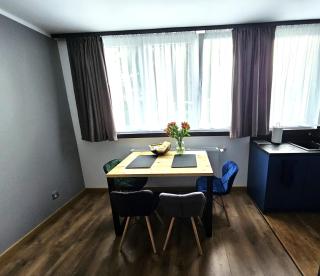 Apartament Leszczyńska 29 - Bielsko-Biała - 4