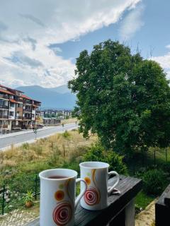 Studio El - All seasons - Bansko - 3