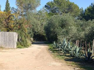 Ecoutez les oiseaux - Lunel - 2