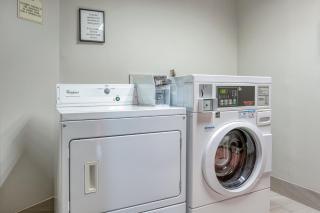 Holiday Inn Express Hotel & Suites Columbus Airport by IHG - 5