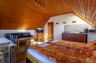 Szabolcs Apartments - Demjén - 9