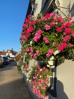 The Swan Hotel, Alresford - Winchester - 9