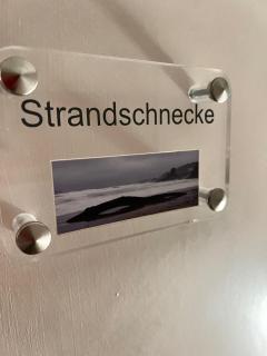 Strandschnecke - List auf Sylt - 9