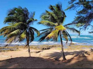 Convenient stay near airport, beach, Isla Verde tourist area, with Jacuzzi - 5