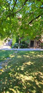 Gites les Tillets -Noyer - Montet-et-Bouxal - 5