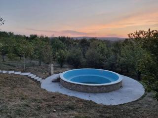 Ranch Vuksa 3 - Sremski Karlovci - 9
