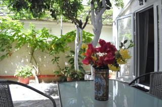 Starvillas Apartments and Studios - Agia Effimia - 9