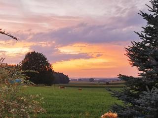 Ferien bei Fuchs - 5