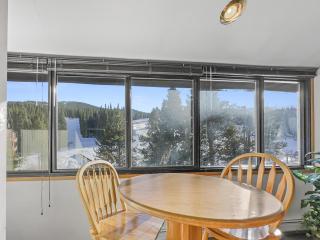 CJ404 Copper Junction condo - 3