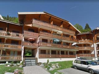 Appartement 4-6 pers au pied des pistes Morzine, animaux admis, parking - FR-1-754-28 - Morzine - 8