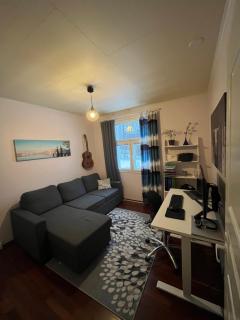Cozy, spacious and traditional house - Rovaniemi - 1