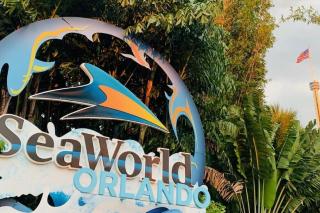 3Bed2Bath Clearwater Beach Vacation Home with Heated Pool - 7