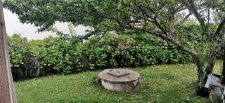 La Isla - Araminda - 3