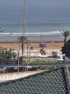Jacaranda widdadiya asillah - Asilah - 0