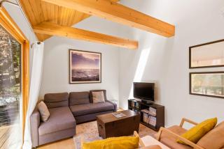 Wildwood - Modern 2 BR with Private Hot tub Walk to North Tahoe Regional Park - 4