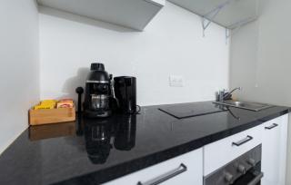 Hébergement touristique de luxe proche de Paris avec parking gratuit, situé face au parc des expositions et de l'aéroport du Bourget, à 15 min de CDG - Le Blanc-Mesnil - 5