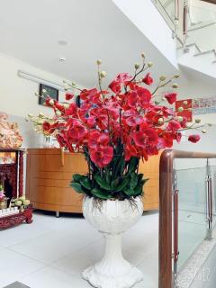 căn hộ Lý Chính Thắng - Ho Chi Minh - 3