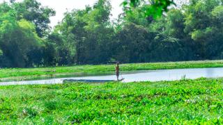 Khmer Village Homestay - 7
