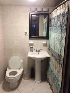 Garden Apartment with Private Entry - Brooklyn - 5