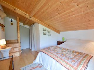 Charmante maison familiale, animaux admis, parking, chauffage au sol, poêle à granulés - FR-1-498-93 - Saint-Paul-en-Chablais - 1