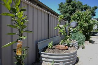 Blue Wren Cottage - Moyhu - 8