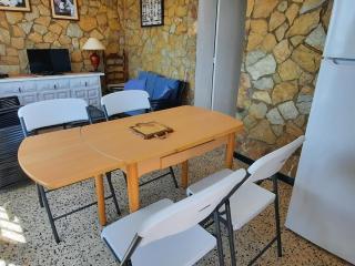 Apartamento familiar frente al mar con jardín, barbacoa, aparcamiento y mascotas permitidas - ES-170-70 - Llança - 4