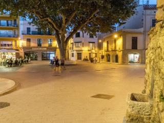 Apartamento acogedor para 6 personas en el centro de Llançà, cerca de playas y actividades familiares - ES-170-88 - Llança - 1