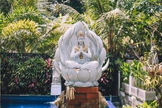 Nawa Sakti Ubud Suite - Ubud - 9