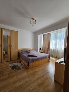 Studio Bulevardul Victoriei - Braşov - 3